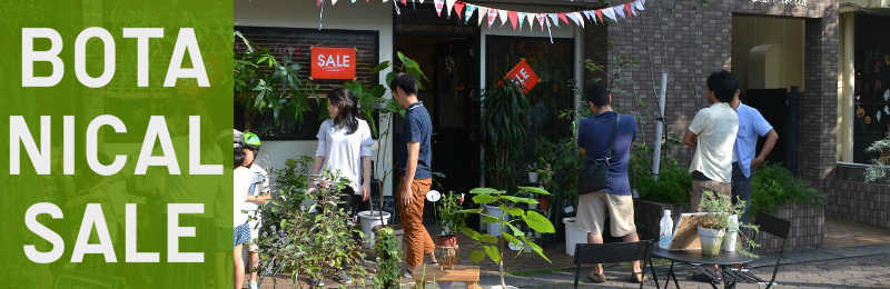 BOTANICAL SALE2