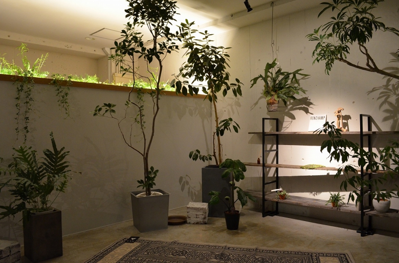 dsc_0092.jpg